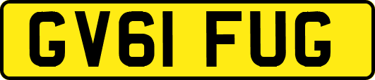 GV61FUG