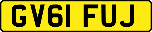 GV61FUJ