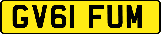 GV61FUM