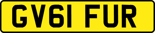 GV61FUR