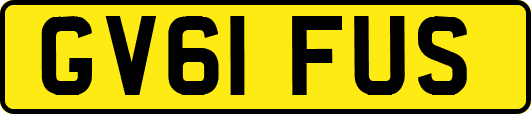 GV61FUS
