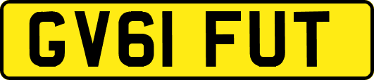 GV61FUT