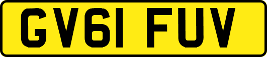 GV61FUV