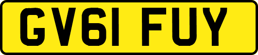 GV61FUY