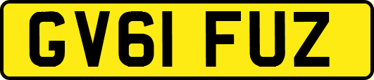 GV61FUZ