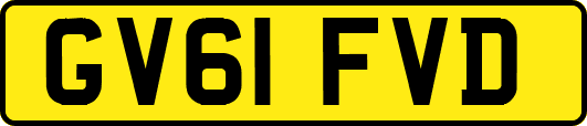 GV61FVD