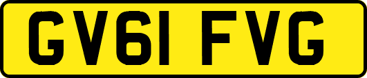 GV61FVG