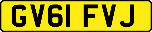 GV61FVJ