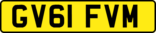 GV61FVM