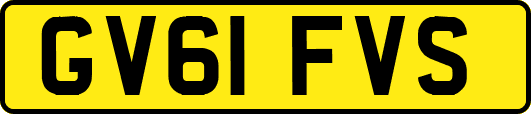 GV61FVS