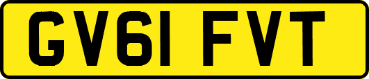 GV61FVT