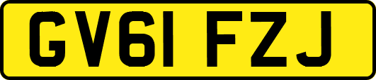 GV61FZJ