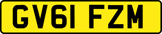 GV61FZM