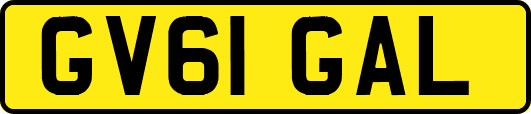 GV61GAL