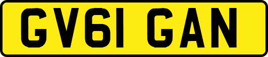 GV61GAN