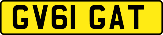 GV61GAT