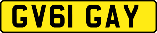 GV61GAY