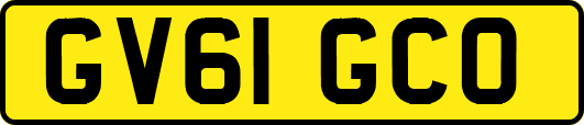 GV61GCO
