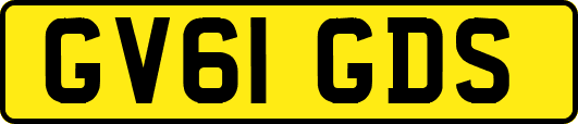 GV61GDS