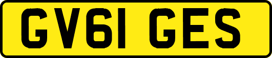 GV61GES