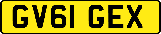 GV61GEX