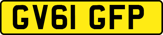 GV61GFP