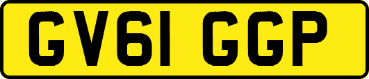 GV61GGP