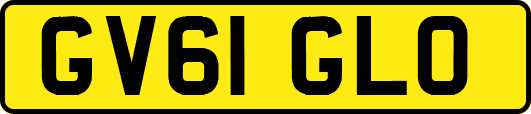 GV61GLO