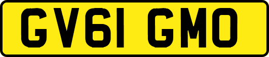 GV61GMO