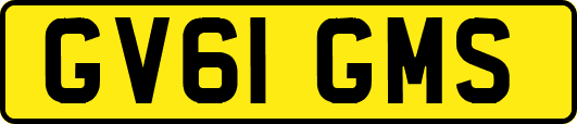 GV61GMS