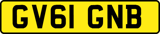 GV61GNB