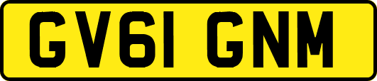 GV61GNM