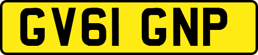 GV61GNP