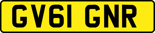 GV61GNR