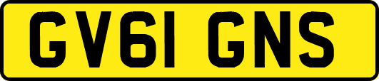 GV61GNS
