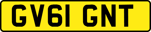 GV61GNT