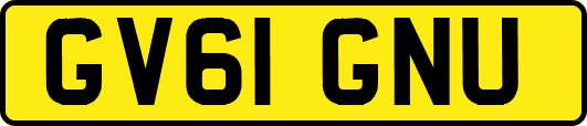 GV61GNU