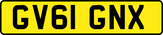GV61GNX