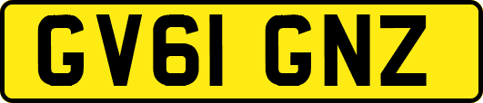 GV61GNZ