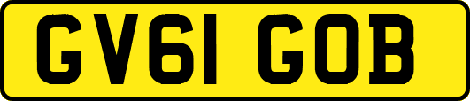 GV61GOB