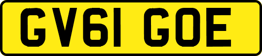 GV61GOE
