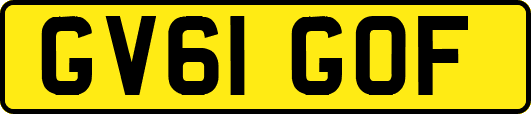 GV61GOF
