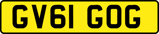 GV61GOG