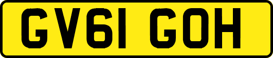 GV61GOH