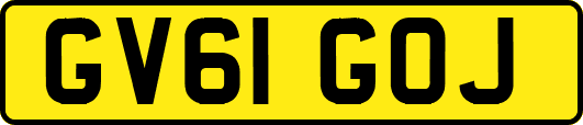 GV61GOJ