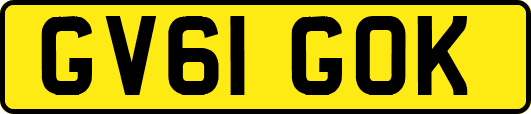 GV61GOK