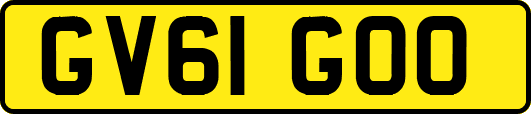 GV61GOO