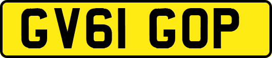 GV61GOP