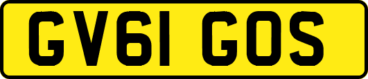 GV61GOS