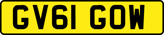 GV61GOW